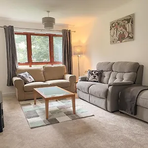  Apartment Spacious, And Newly Decorated